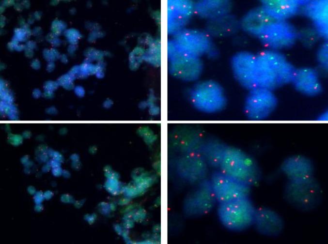 https://cdn.ncbi.nlm.nih.gov/pmc/blobs/b3d2/11102410/0ebbc1660425/12672_2024_1039_Fig2_HTML.jpg