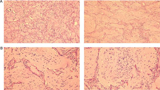 https://cdn.ncbi.nlm.nih.gov/pmc/blobs/b3d2/11102410/fbcefd17aff7/12672_2024_1039_Fig3_HTML.jpg
