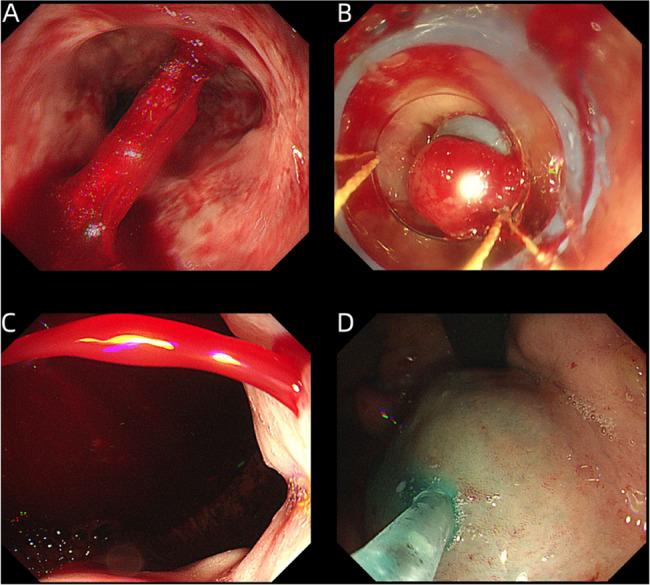 https://cdn.ncbi.nlm.nih.gov/pmc/blobs/b3d2/12211783/240e92a81f72/12876_2025_4088_Fig1_HTML.jpg
