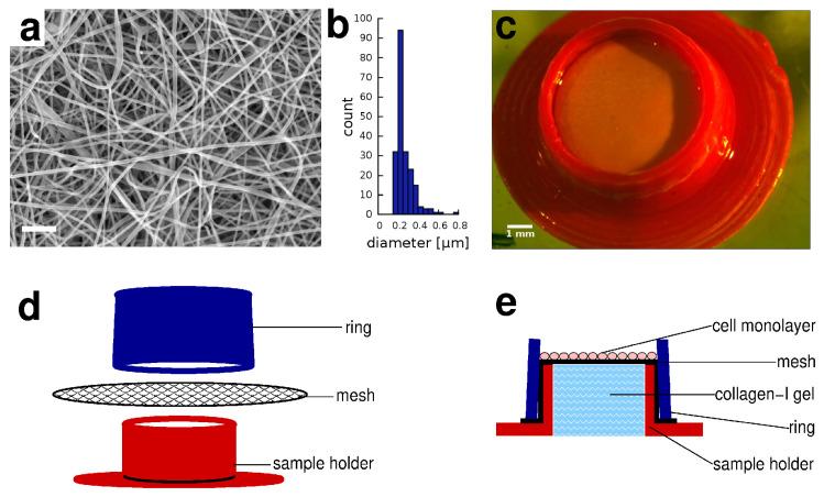 https://cdn.ncbi.nlm.nih.gov/pmc/blobs/b3d2/8235028/74e9220a5a07/pharmaceutics-13-00910-g001.jpg