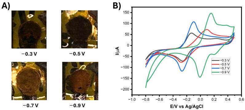 https://cdn.ncbi.nlm.nih.gov/pmc/blobs/b3d3/12191041/cb38b9bc4374/biosensors-15-00384-g001.jpg