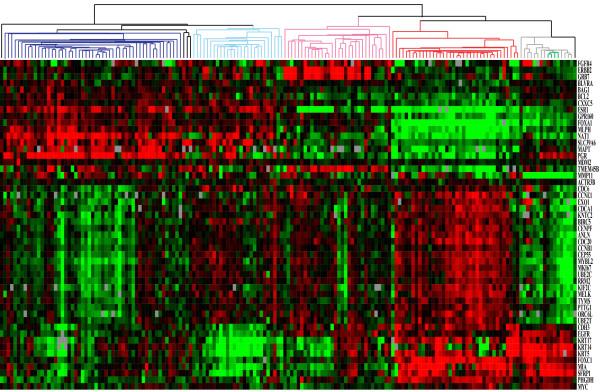 https://cdn.ncbi.nlm.nih.gov/pmc/blobs/b3d4/3487945/1d4d92447d23/1755-8794-5-44-1.jpg