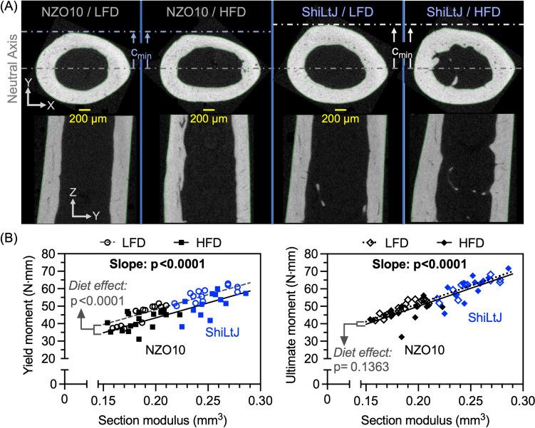 https://cdn.ncbi.nlm.nih.gov/pmc/blobs/b3d5/11333511/ca20f9ec09b0/223_2024_1252_Fig5_HTML.jpg