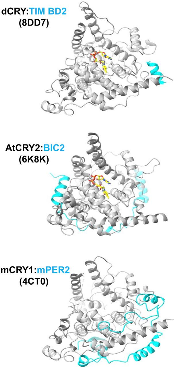 https://cdn.ncbi.nlm.nih.gov/pmc/blobs/b3d5/11362059/0c99236418da/fchem-12-1436322-g005.jpg