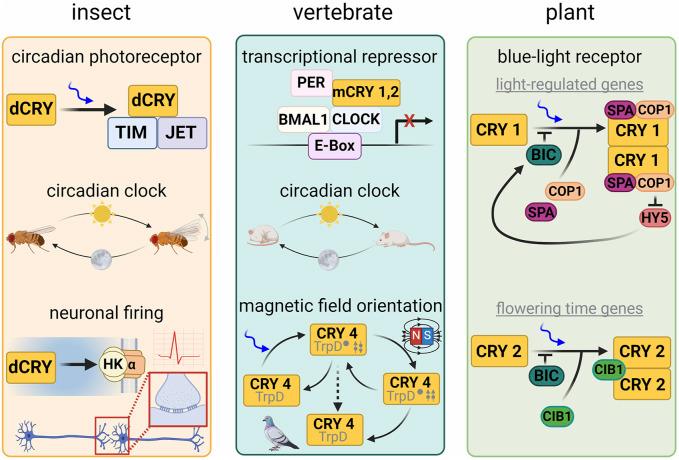 https://cdn.ncbi.nlm.nih.gov/pmc/blobs/b3d5/11362059/53248b76cde2/fchem-12-1436322-g001.jpg