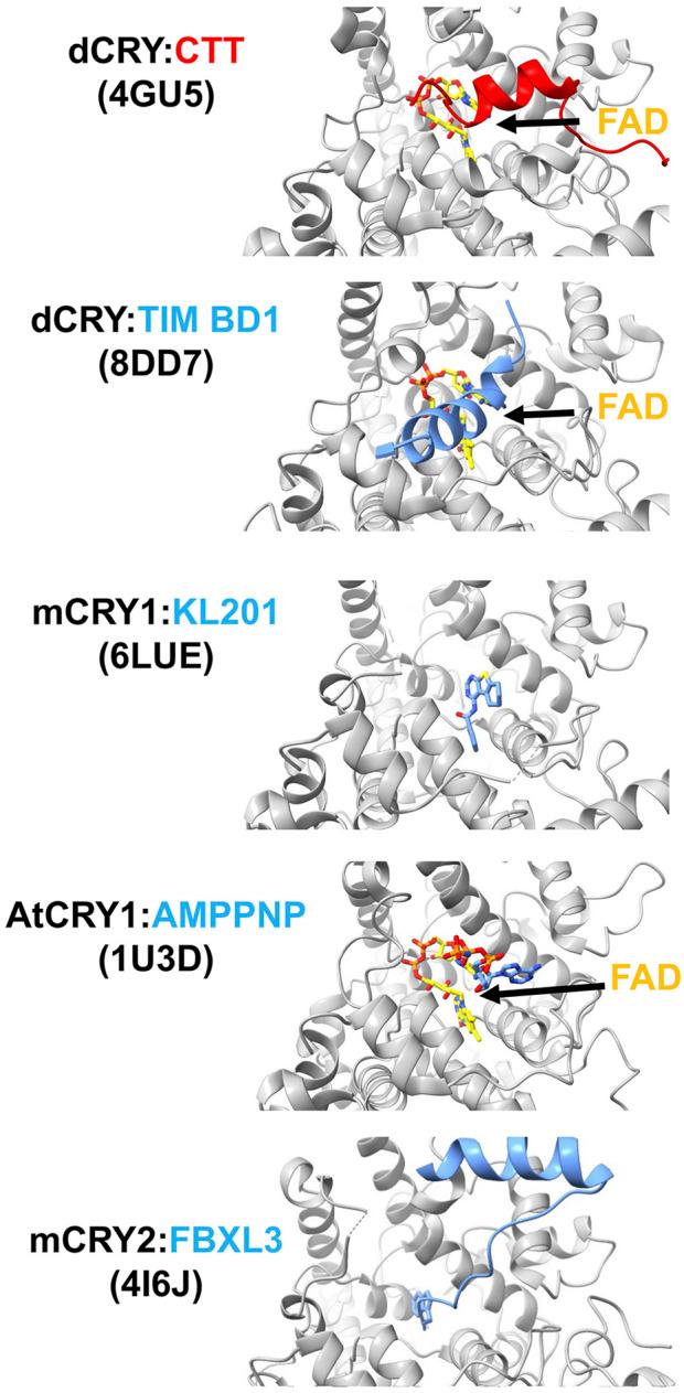 https://cdn.ncbi.nlm.nih.gov/pmc/blobs/b3d5/11362059/7f4e1b4f9dde/fchem-12-1436322-g004.jpg