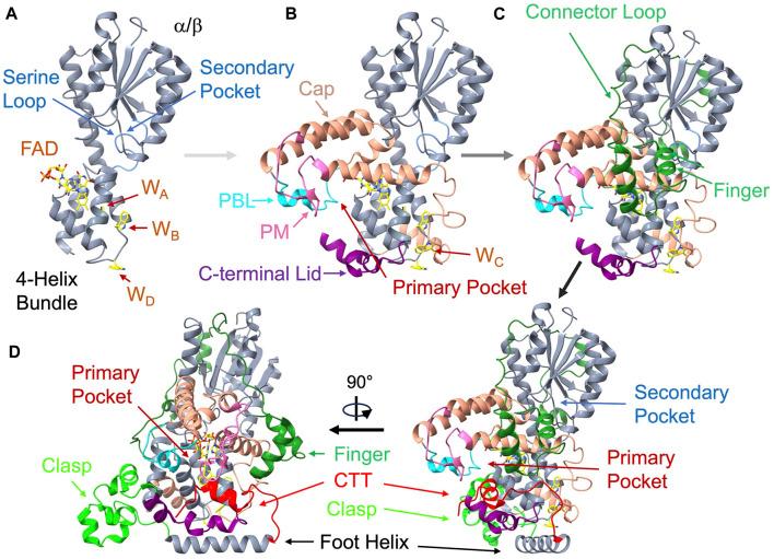 https://cdn.ncbi.nlm.nih.gov/pmc/blobs/b3d5/11362059/bc7290648754/fchem-12-1436322-g003.jpg