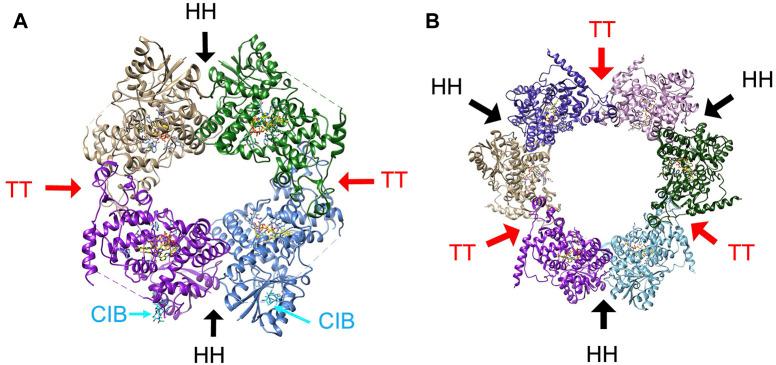 https://cdn.ncbi.nlm.nih.gov/pmc/blobs/b3d5/11362059/d8c9766a2136/fchem-12-1436322-g007.jpg