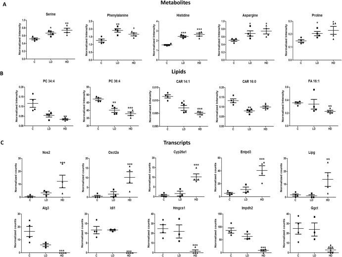 https://cdn.ncbi.nlm.nih.gov/pmc/blobs/b3d7/10492812/b649c25625a6/41540_2023_305_Fig2_HTML.jpg