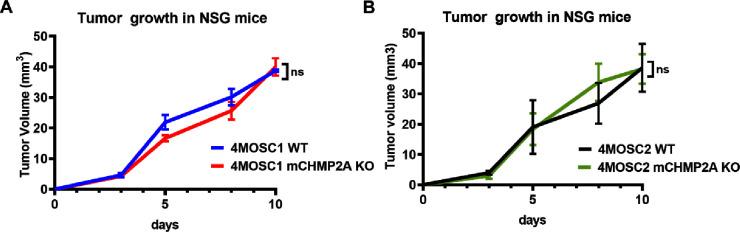 https://cdn.ncbi.nlm.nih.gov/pmc/blobs/b3d7/11086353/1895b2f1dbb2/jitc-2023-007187f03.jpg