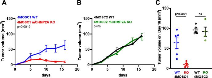https://cdn.ncbi.nlm.nih.gov/pmc/blobs/b3d7/11086353/3c66cf19dec3/jitc-2023-007187f02.jpg