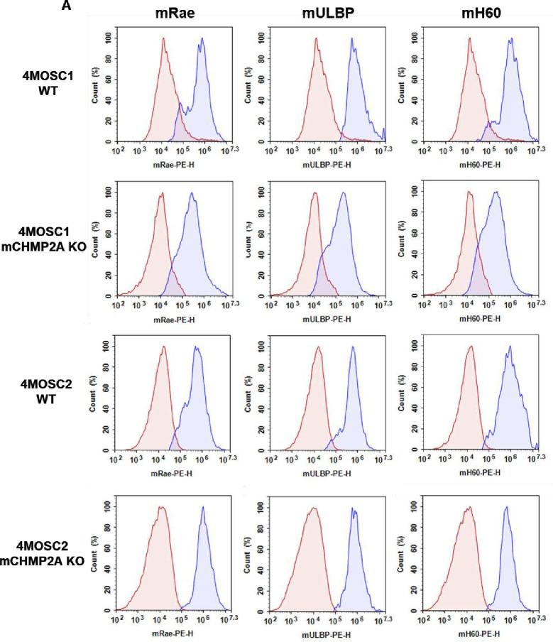 https://cdn.ncbi.nlm.nih.gov/pmc/blobs/b3d7/11086353/83e1cd6ff407/jitc-2023-007187f07.jpg