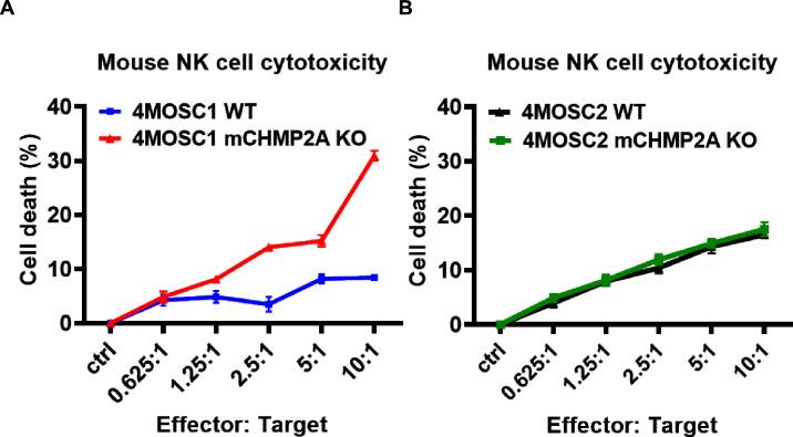 https://cdn.ncbi.nlm.nih.gov/pmc/blobs/b3d7/11086353/ae3b187f6227/jitc-2023-007187f01.jpg