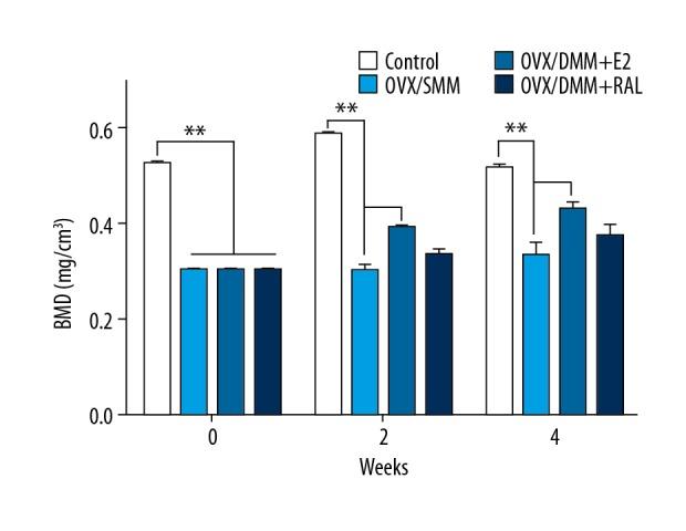 https://cdn.ncbi.nlm.nih.gov/pmc/blobs/b3d8/6503753/41cdf5198bf5/medscimonit-25-3146-g005.jpg