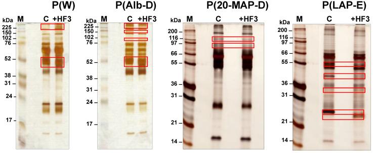 https://cdn.ncbi.nlm.nih.gov/pmc/blobs/b3d9/8622078/59cec7fef16d/toxins-13-00764-g002.jpg