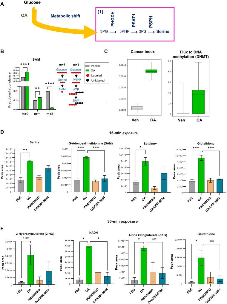 https://cdn.ncbi.nlm.nih.gov/pmc/blobs/b3da/11927636/c0d8dd4ce1c0/sciadv.ads9182-f1.jpg