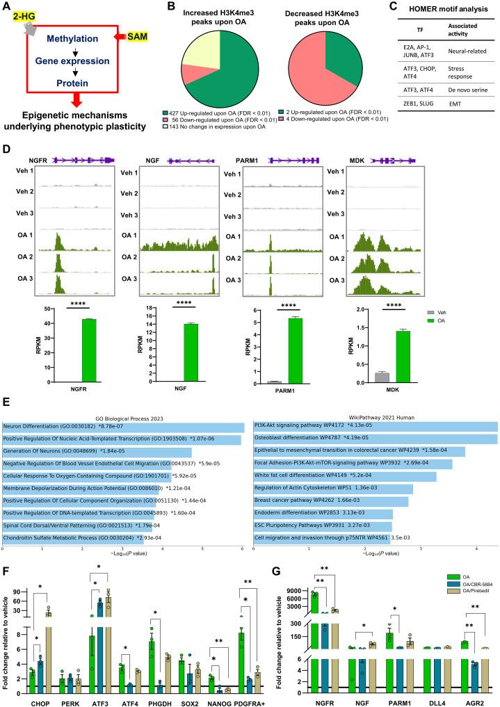 https://cdn.ncbi.nlm.nih.gov/pmc/blobs/b3da/11927636/c790fe32aa15/sciadv.ads9182-f2.jpg