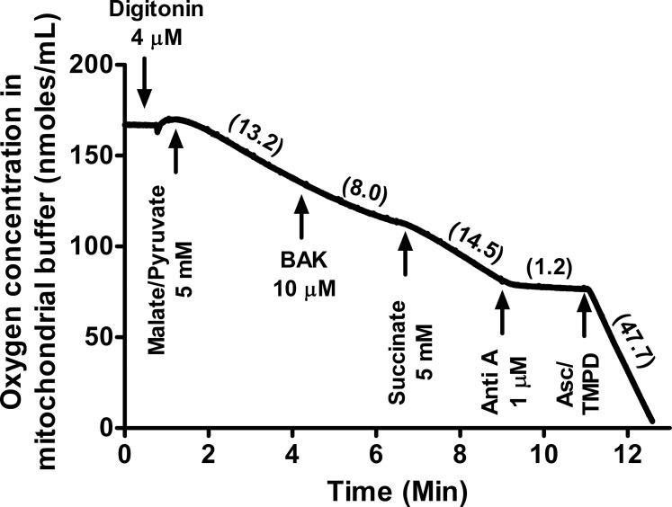 https://cdn.ncbi.nlm.nih.gov/pmc/blobs/b3da/5407244/23201624b37c/i1552-5783-58-4-2406-f03.jpg