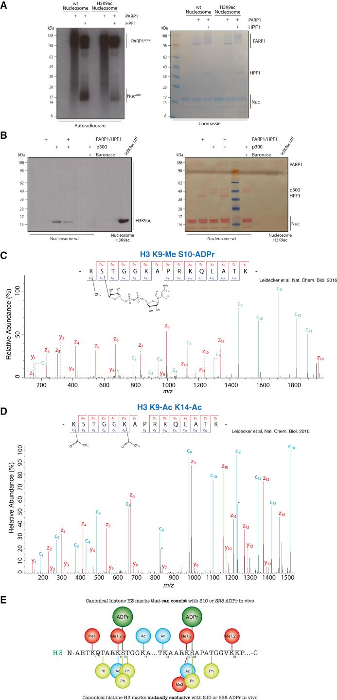 https://cdn.ncbi.nlm.nih.gov/pmc/blobs/b3da/6172693/d25f294f946e/gr6.jpg