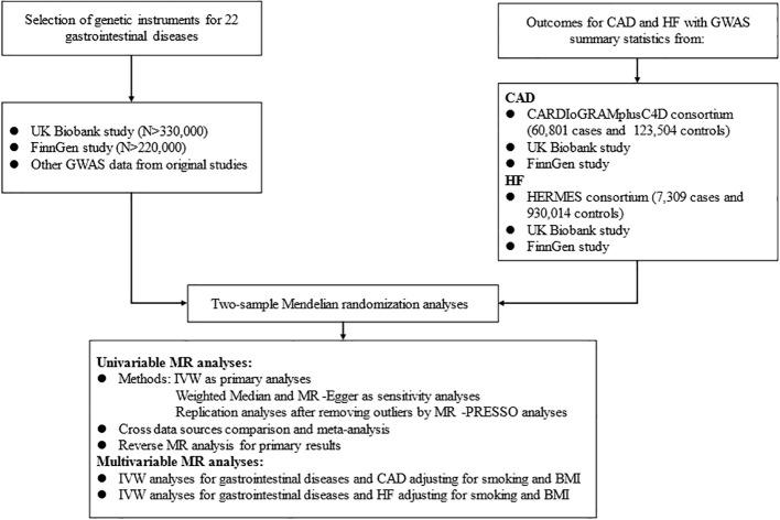 https://cdn.ncbi.nlm.nih.gov/pmc/blobs/b3dc/11518705/5f1d1bef0c6e/fendo-15-1458196-g001.jpg