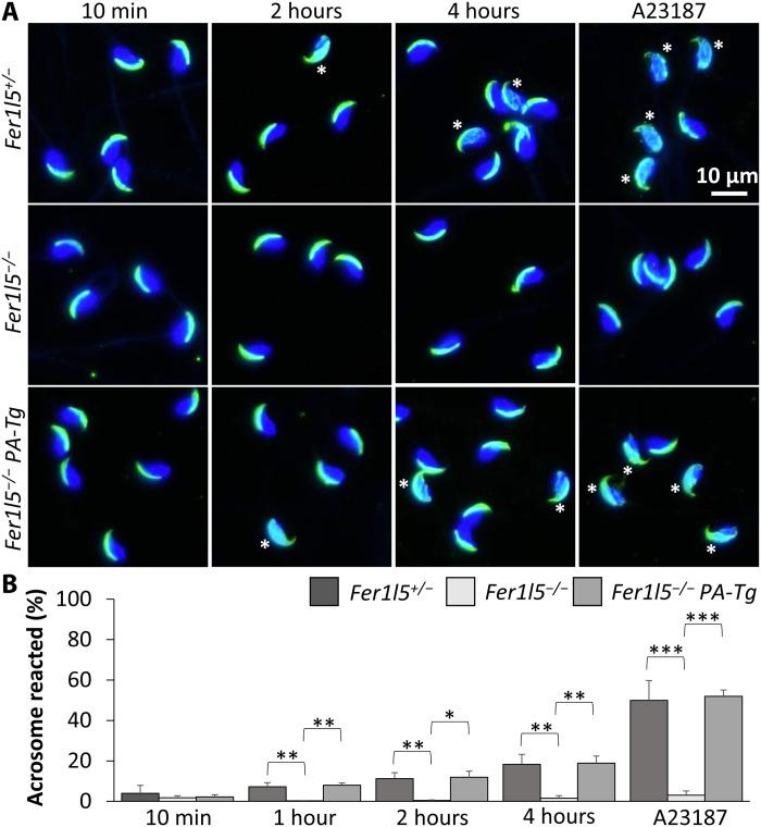 https://cdn.ncbi.nlm.nih.gov/pmc/blobs/b3dc/9876558/99c909a859ee/sciadv.ade7607-f4.jpg