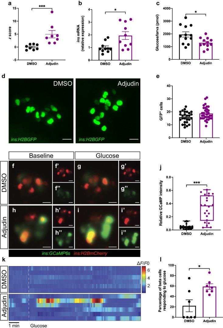 https://cdn.ncbi.nlm.nih.gov/pmc/blobs/b3dd/10709271/36dbb3efba1b/125_2023_6020_Fig1_HTML.jpg