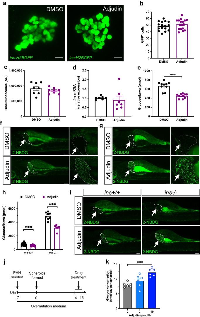 https://cdn.ncbi.nlm.nih.gov/pmc/blobs/b3dd/10709271/57b6c7c55450/125_2023_6020_Fig4_HTML.jpg
