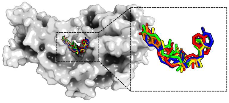 https://cdn.ncbi.nlm.nih.gov/pmc/blobs/b3df/11173896/6f38ae170492/molecules-29-02650-g003.jpg