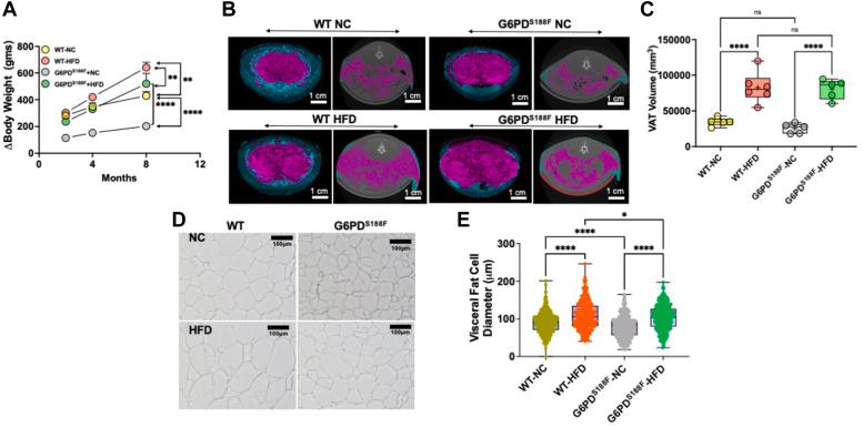 https://cdn.ncbi.nlm.nih.gov/pmc/blobs/b3e2/11328872/776cbadd4e1b/gr1.jpg