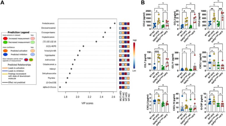 https://cdn.ncbi.nlm.nih.gov/pmc/blobs/b3e2/11328872/a0259c80538e/gr3.jpg
