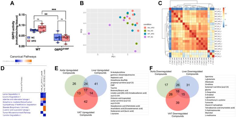 https://cdn.ncbi.nlm.nih.gov/pmc/blobs/b3e2/11328872/fad043fac850/gr6.jpg