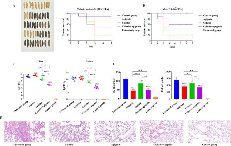 https://cdn.ncbi.nlm.nih.gov/pmc/blobs/b3e2/11448233/e2bd5dcc1090/spectrum.00341-24.f005.jpg