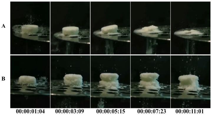 https://cdn.ncbi.nlm.nih.gov/pmc/blobs/b3e3/12030749/f37567664b8a/pharmaceutics-17-00435-g005.jpg