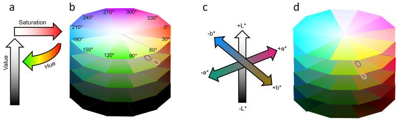 https://cdn.ncbi.nlm.nih.gov/pmc/blobs/b3e6/8597069/56fc943b466e/10.1177_20416695211053361-fig1.jpg