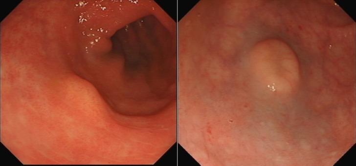 https://cdn.ncbi.nlm.nih.gov/pmc/blobs/b3e7/11541365/17f5806f17e4/11864_2024_1267_Fig1_HTML.jpg