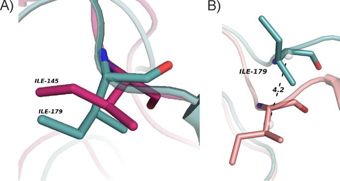 https://cdn.ncbi.nlm.nih.gov/pmc/blobs/b3e8/3829422/a36ed58f65ec/zbc0471365130006.jpg
