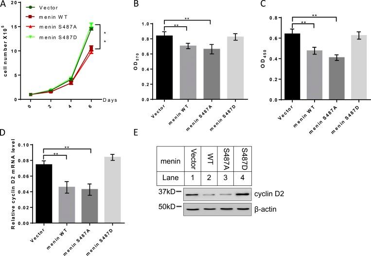 https://cdn.ncbi.nlm.nih.gov/pmc/blobs/b3e8/6400573/413a4cb08049/JCB_201805049_Fig6.jpg