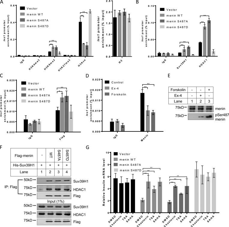https://cdn.ncbi.nlm.nih.gov/pmc/blobs/b3e8/6400573/6251091f11e9/JCB_201805049_Fig3.jpg