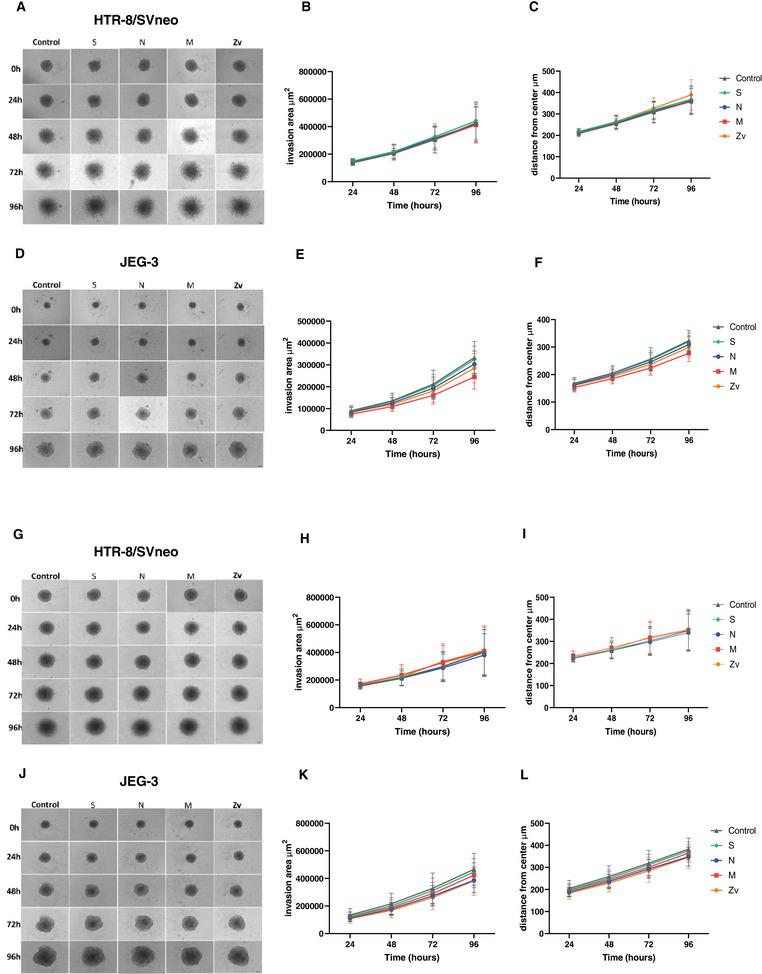 https://cdn.ncbi.nlm.nih.gov/pmc/blobs/b3e9/11706221/3f0f5b3876af/AJI-93-e70039-g004.jpg