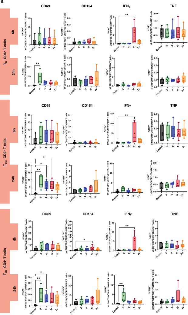 https://cdn.ncbi.nlm.nih.gov/pmc/blobs/b3e9/11706221/81f2875589e1/AJI-93-e70039-g009.jpg