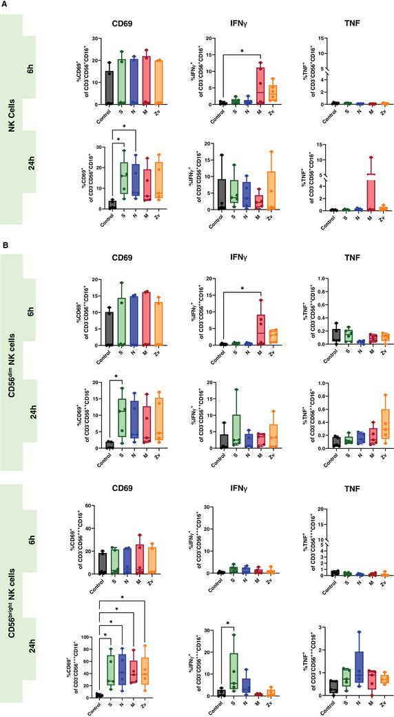 https://cdn.ncbi.nlm.nih.gov/pmc/blobs/b3e9/11706221/964e0420eb4e/AJI-93-e70039-g006.jpg