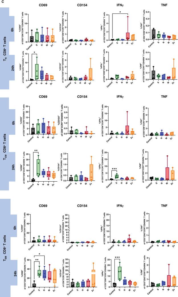 https://cdn.ncbi.nlm.nih.gov/pmc/blobs/b3e9/11706221/bf42286f8c73/AJI-93-e70039-g008.jpg