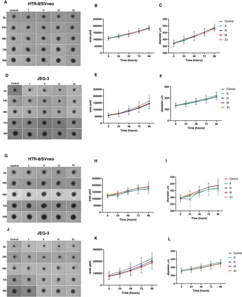 https://cdn.ncbi.nlm.nih.gov/pmc/blobs/b3e9/11706221/d25c74ba8dbd/AJI-93-e70039-g002.jpg