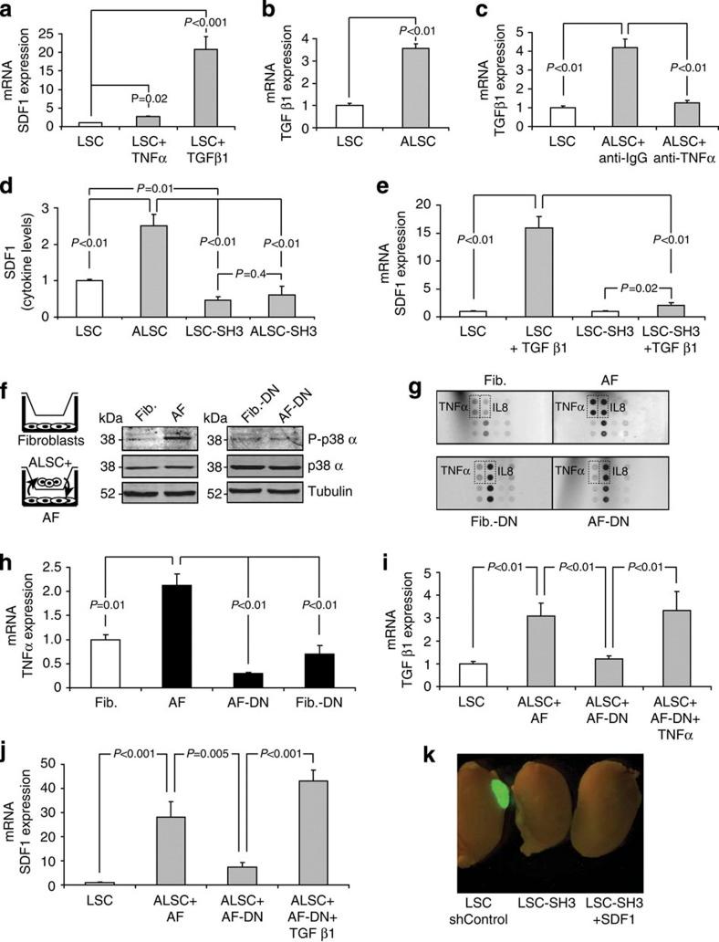 https://cdn.ncbi.nlm.nih.gov/pmc/blobs/b3e9/3905720/0990d0ec5f31/ncomms4175-f4.jpg