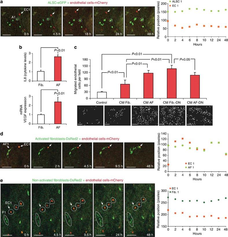 https://cdn.ncbi.nlm.nih.gov/pmc/blobs/b3e9/3905720/fd52f4f48f8a/ncomms4175-f6.jpg