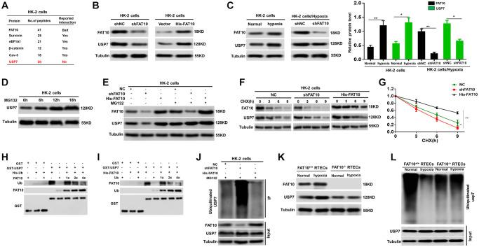 https://cdn.ncbi.nlm.nih.gov/pmc/blobs/b3e9/9550257/5533575c3c1f/aging-14-204301-g003.jpg