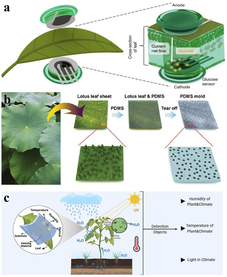 https://cdn.ncbi.nlm.nih.gov/pmc/blobs/b3eb/12429216/56bcc51317cc/materials-18-04010-g013.jpg