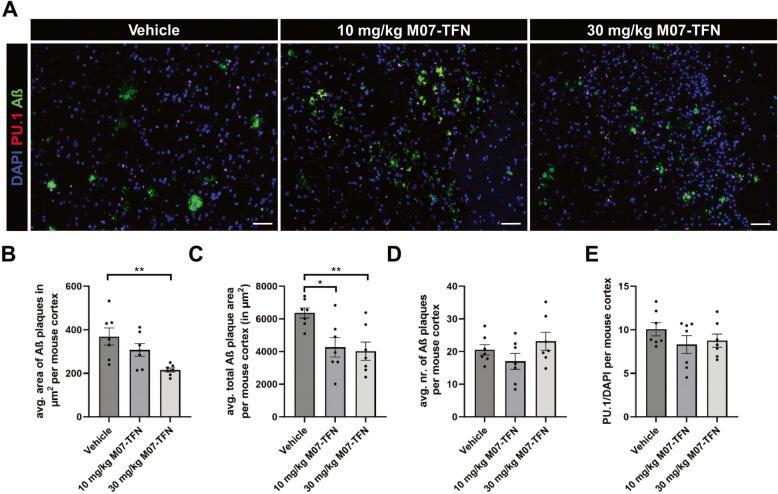 https://cdn.ncbi.nlm.nih.gov/pmc/blobs/b3ed/12096560/589e32d4d009/13195_2025_1759_Fig8_HTML.jpg
