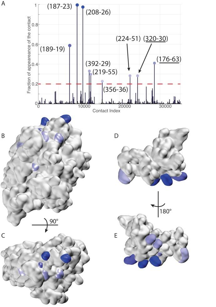 https://cdn.ncbi.nlm.nih.gov/pmc/blobs/b3ee/5519331/3bf726e0a9db/elife-23471-fig7.jpg