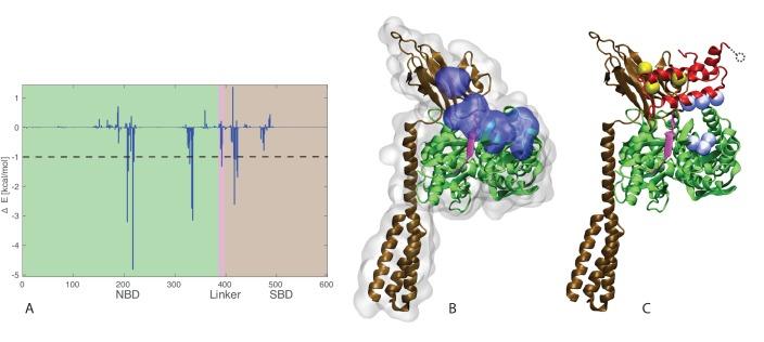 https://cdn.ncbi.nlm.nih.gov/pmc/blobs/b3ee/5519331/a26dc1ee222f/elife-23471-fig5.jpg